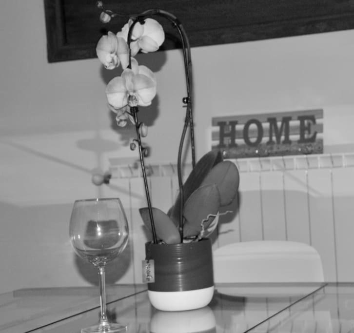 Brand New Apartment Florence Buitenkant foto